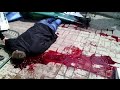 "Когда Украина в крови" песня Зазы Заалишвили 