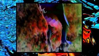 Gypsy &amp; The Cat - It&#39;s A Fine Line