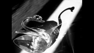 A Fine Frenzy - Swan Song