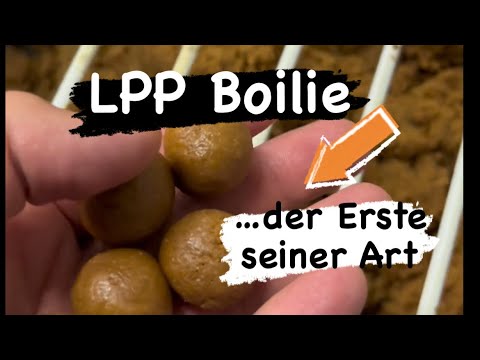 Liquid-Powder-Pasten Boilie - der erste seiner Art. LPP Boilie - alle Infos hier.