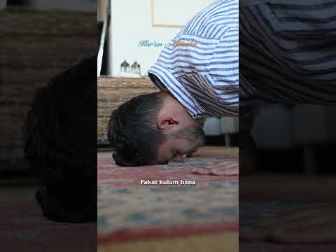 Bir kulumu seversem..