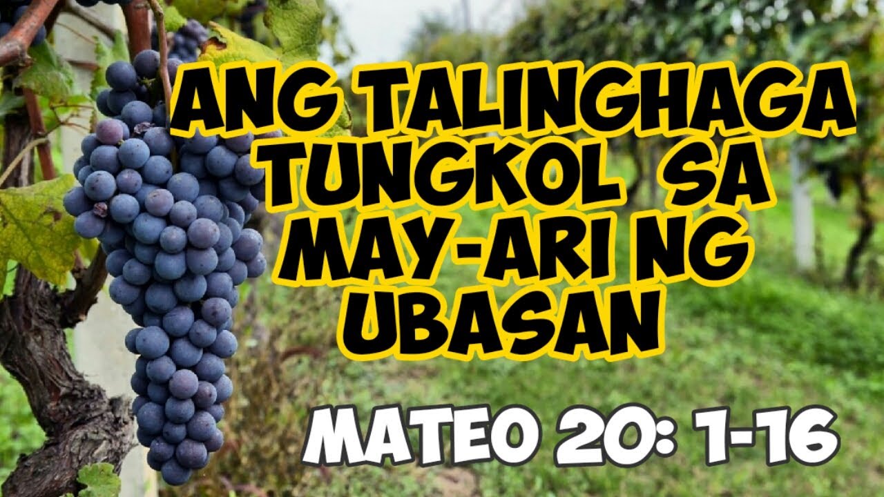 Putar video TALINGHAGA TUNGKOL SA MAY-ARI NG UBASAN - PARABULA (KANLURANG ASYA) sekarang TALINGHAGA TUNGKOL SA MAY-ARI NG UBASAN - PARABULA (KANLURANG ASYA)