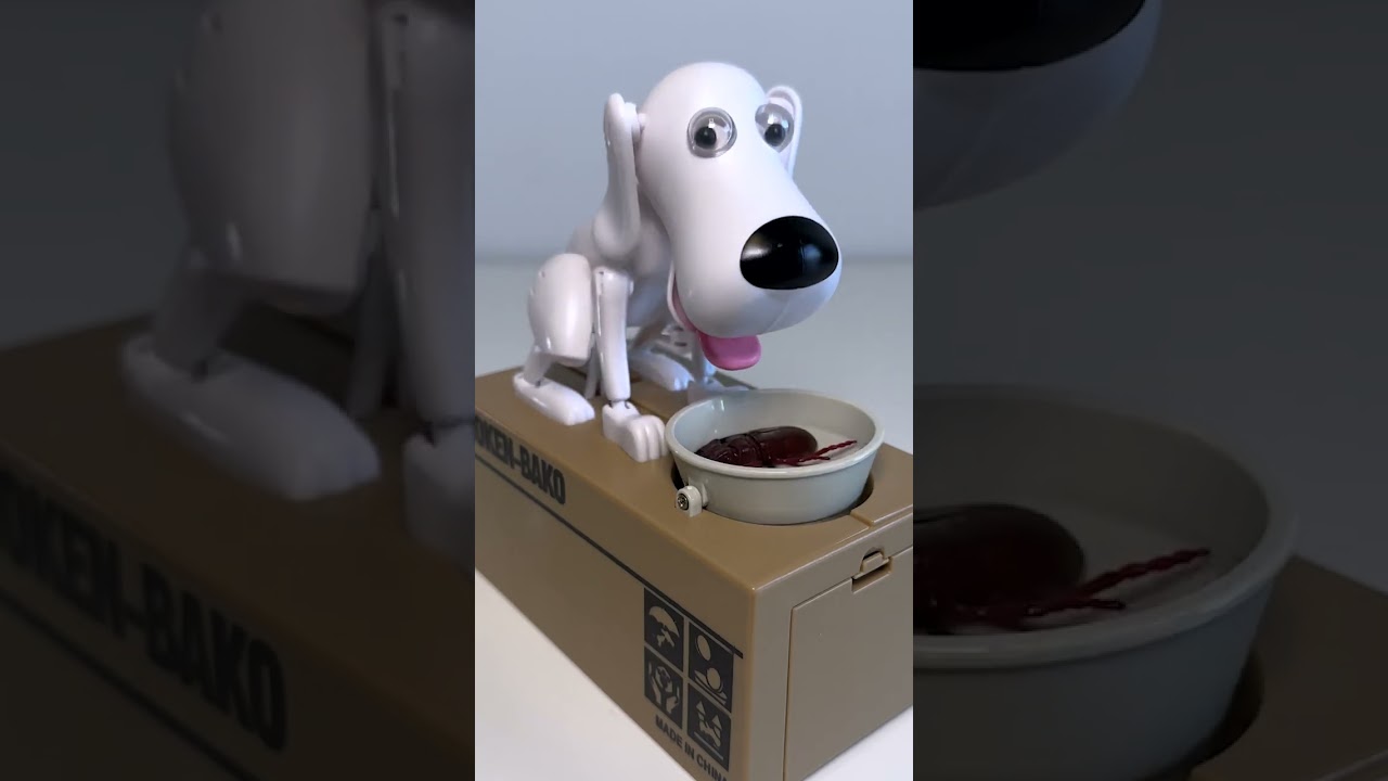 dog box piggy bank #shorts