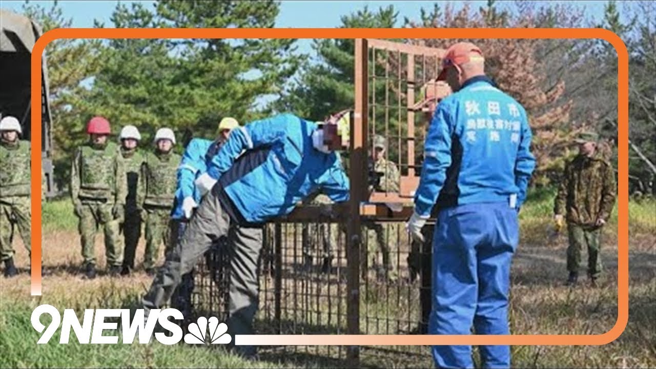 Japan deploys troops to counter bear attacks