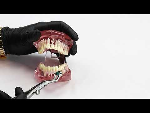 Waldent Temporary Crown Removing Pliers (21/104)