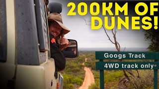 🤔Better Than The Simpson Desert❓ Hitting the Dunes Of The Googs Track