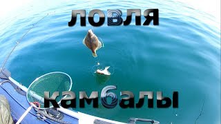 На что ловится камбала во владивостоке