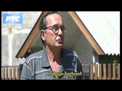 Nauka u selu - Stočarstvo, lokomotiva poljoprivrede: Uzroci krize