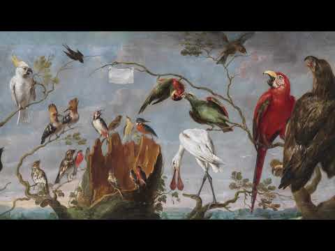 Antonio Vivaldi - Le Quattro Stagioni / Four Seasons / Dört Mevsim (Il Giardino Armonico)
