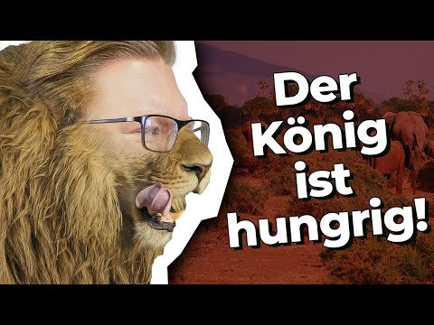 "Fällt nur SELTEN einem FRESSFEIND zum OPFER!" | Tierquiz