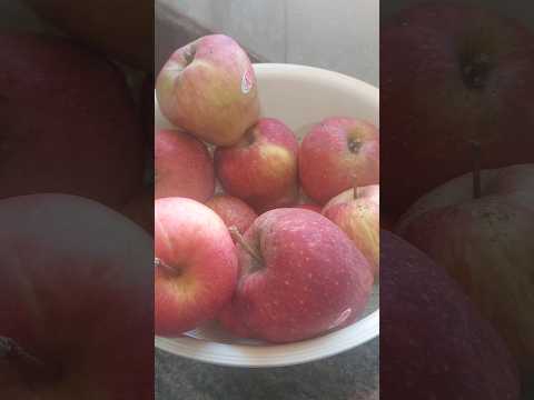 DilShan Kashmiri Apple 🍎 🍎 |  कश्मीरी सेब | Apple | #shorts #latestvideo #shortvideo #trending #yt