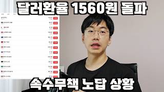 달러환율 1560원. 더 오를까?