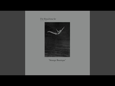 The Monochrome Set (I Presume)