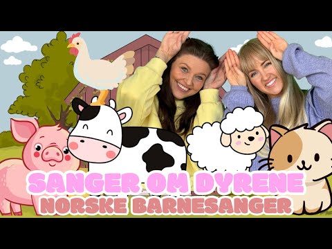 Molly og Mi 🐨 Sanger om dyrene 🐨 (Barnesanger på norsk)