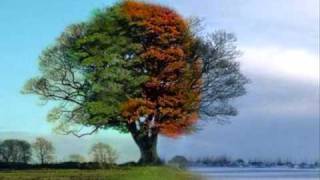 Romantic Flight (Roman Hikou; 浪漫飛行) from &quot;Ms. Vocalist&quot; - Debbie Gibson