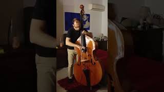 Goodbye Pork Pie Hat - Charles Mingus - Bass solo arrangement Dave Holland