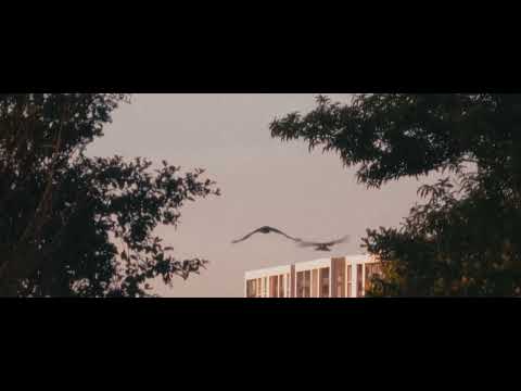 we live mere moments apart