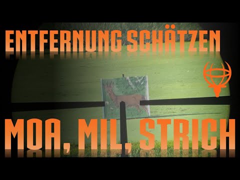 MOA, MIL, line - estimating distances with a reticle