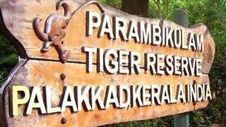 preview picture of video 'Parambikulam Tiger Reserve -Palakad Kerala'