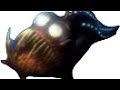 Finding Nemo The Deep Sea Anglerfish