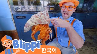 Download lagu 블리피와 해양 생물에 대해 배우기・블리피 한국어 | 어린이 교육 동영상 mp3