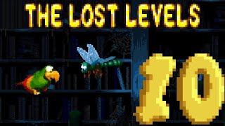 Donkey Kong Country 2: The Lost Levels 100% - Part 10