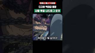 드디어 역대급 등장 '루피와 로키' 대화 ㄷㄷ