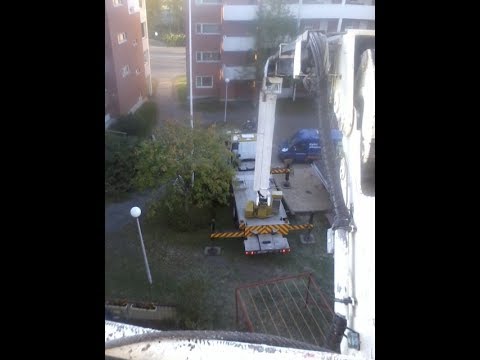 Metsolan Metsäkoulu 37. Joku vinkki alottelevalle pihapuunkaatajalle.