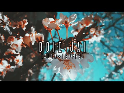 BOIE JAI [SLOW + REVERB] / LYRIC VIDEO