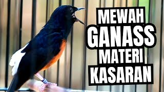 Download lagu MURAI BATU GACOR FULL ISIAN TEMBAKAN MEWAH KRETEKAN GANAS AMPUH MELATIH MURAI BATU BONGKAR ISIAN mp3 Download lagu MURAI BATU GACOR FULL ISIAN TEMBAKAN MEWAH KRETEKAN GANAS AMPUH MELATIH MURAI BATU BONGKAR ISIAN mp3