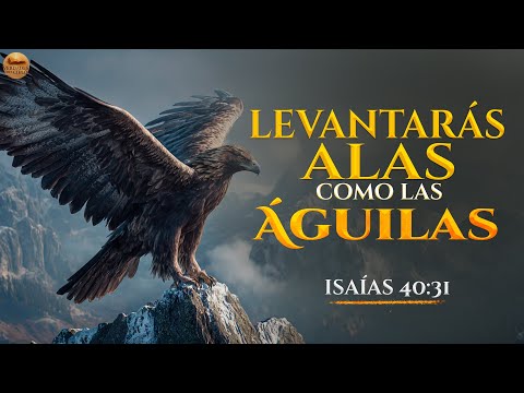 Los que Esperan en Dios Tendrán Nuevas Fuerzas — Cántico Inspirado en Isaías 40:31