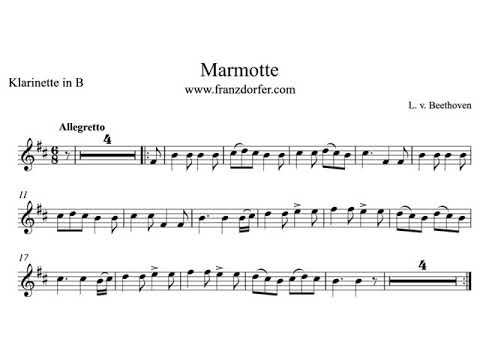 play Clarinet    Marmotte    Beethoven