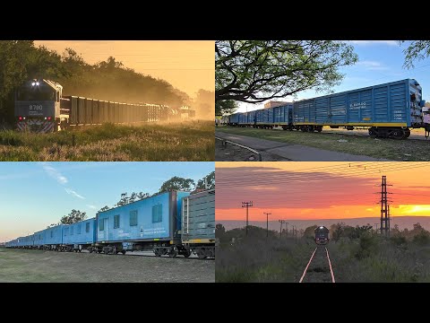 TREN SANITARIO EVA PERON PASANDO POR CORDOBA