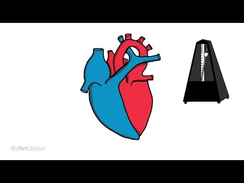 Herzrhythmusstörung: Warum kommt das Herz aus dem Takt? - NetDoktor.de