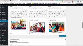BREW Showcase Pages | Add in 2 or 3 column widgets for schools or models etc. [Step 8][19:57]