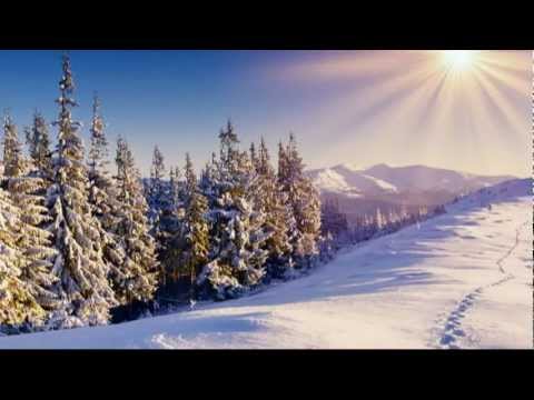 Footprints in the Snow