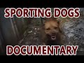 Sporting Dogs (pit bull documentary) 