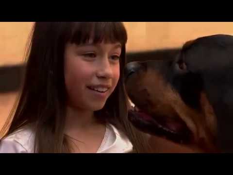 La Rosa De Guadalupe 2018  Corazon noble  Parte 2-2  Capitulos completos