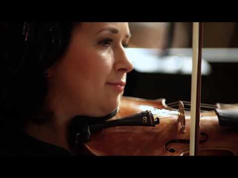 VSL Big Bang Orchestra Lyra and Musca Introduction