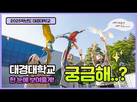 대경대학교 학교 소개 홍보 영상 YouTube Thumbnail