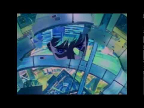 The Wary Traveler - Orphan Bloom 2012