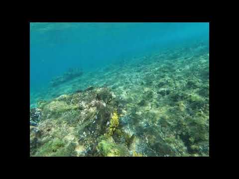 Finding Grateful EP 09: Atlantic Canaria surf sessions