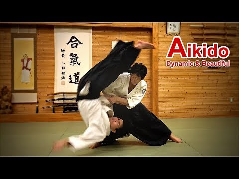 Amazing! Dynamic and beautiful Aikido 02 ‐ Shirakawa Ryuji shihan