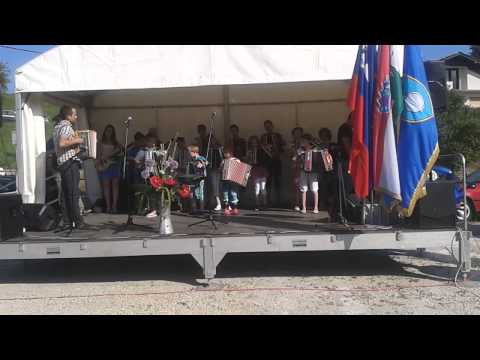 Harmonikarski orkester Simona Plemenitasa 1.7.2013