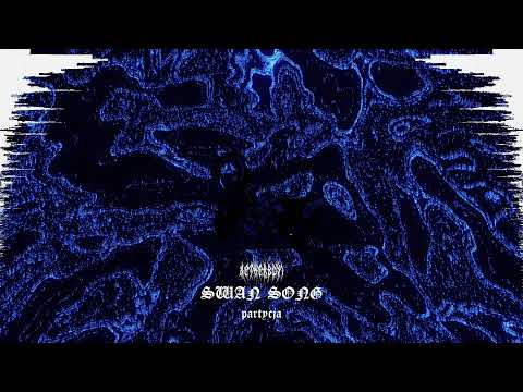 AETHERBOY1 x PARTYCJA - SWAN SONG