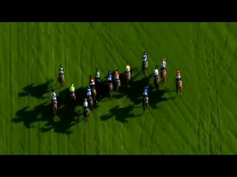 DONCASTER HANDICAP 2016