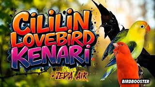 Download lagu MASTERAN BURUNG SATU JALUR CILILIN LOVEBIRD KENARI JEDA TERAPI AIR mp3 Download lagu MASTERAN BURUNG SATU JALUR CILILIN LOVEBIRD KENARI JEDA TERAPI AIR mp3