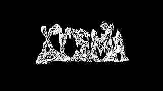 Music video thumbnail preview for XYSMA - Intro / Pulsating Cerebral Slime by Xysma