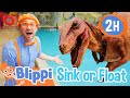 Blippi S Sink Or Float With Stanley The Dinosaur Educational Videos For Kids