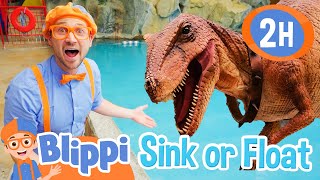 Blippi's Sink or Float with Stanley the Dinosaur | Educational Videos for Kids